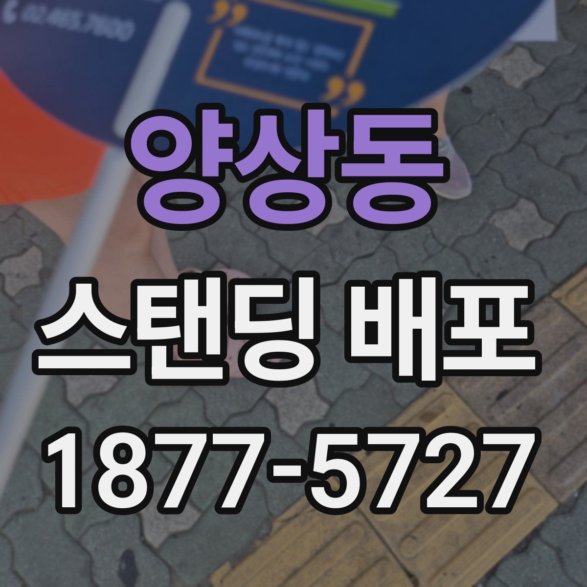 양상동 스탠딩 배포