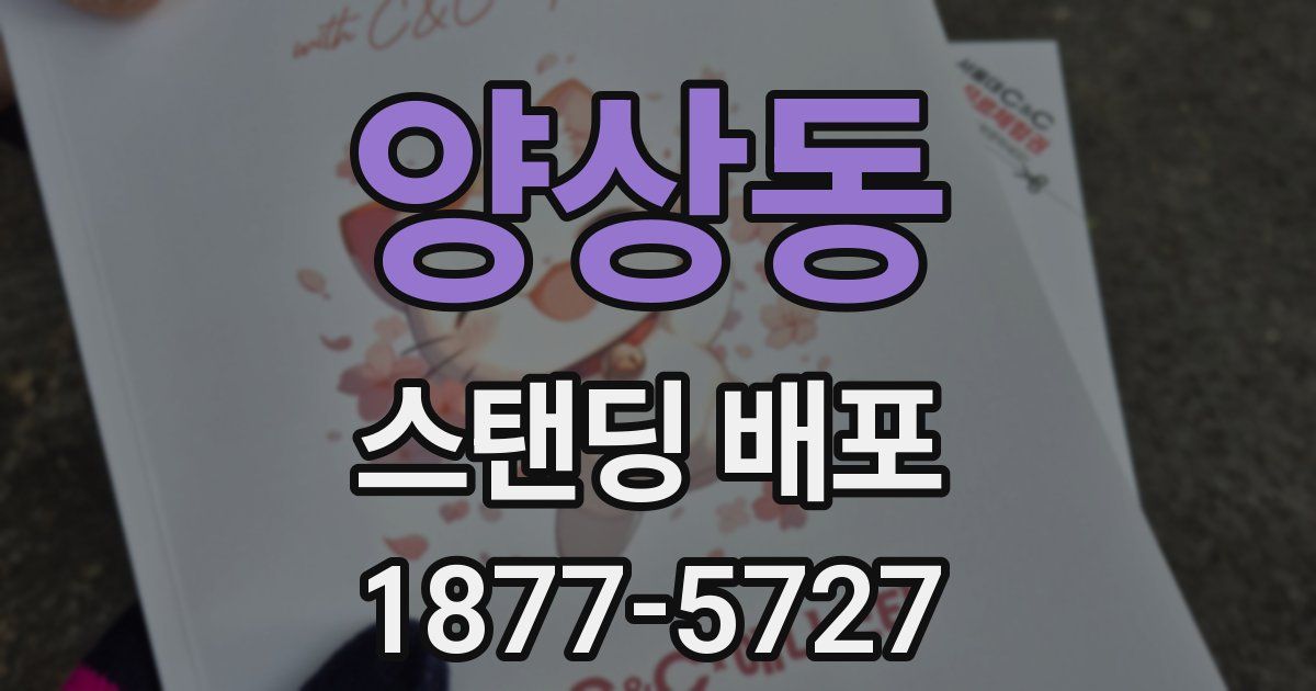 양상동 스탠딩 배포