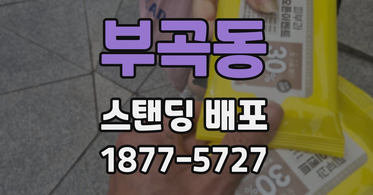 부곡동 스탠딩 배포