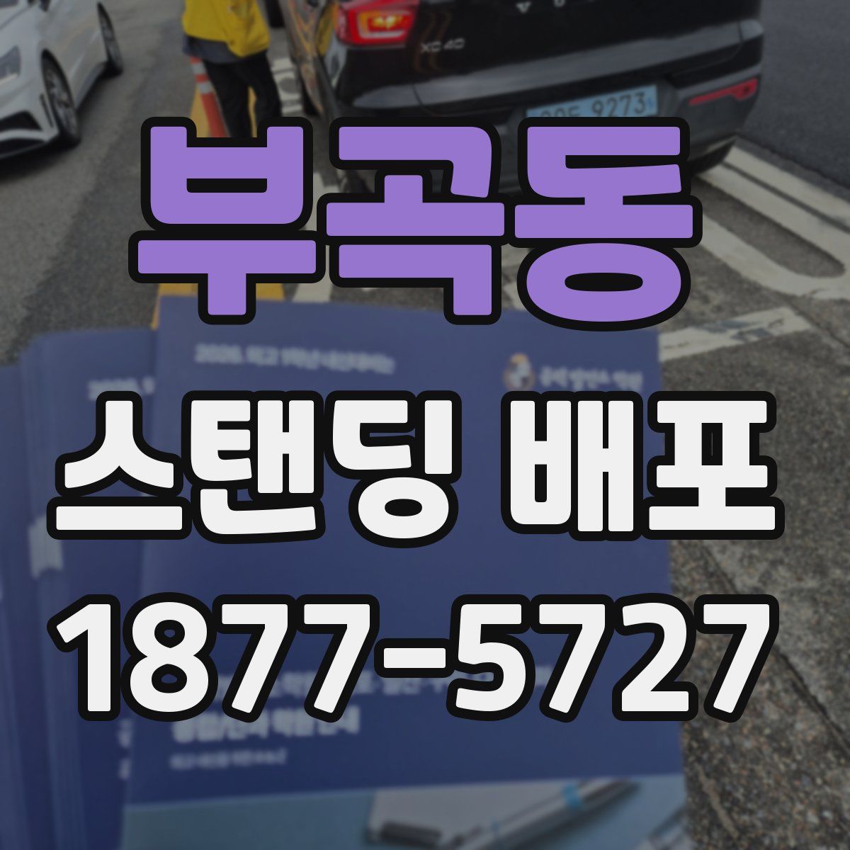 부곡동 스탠딩 배포