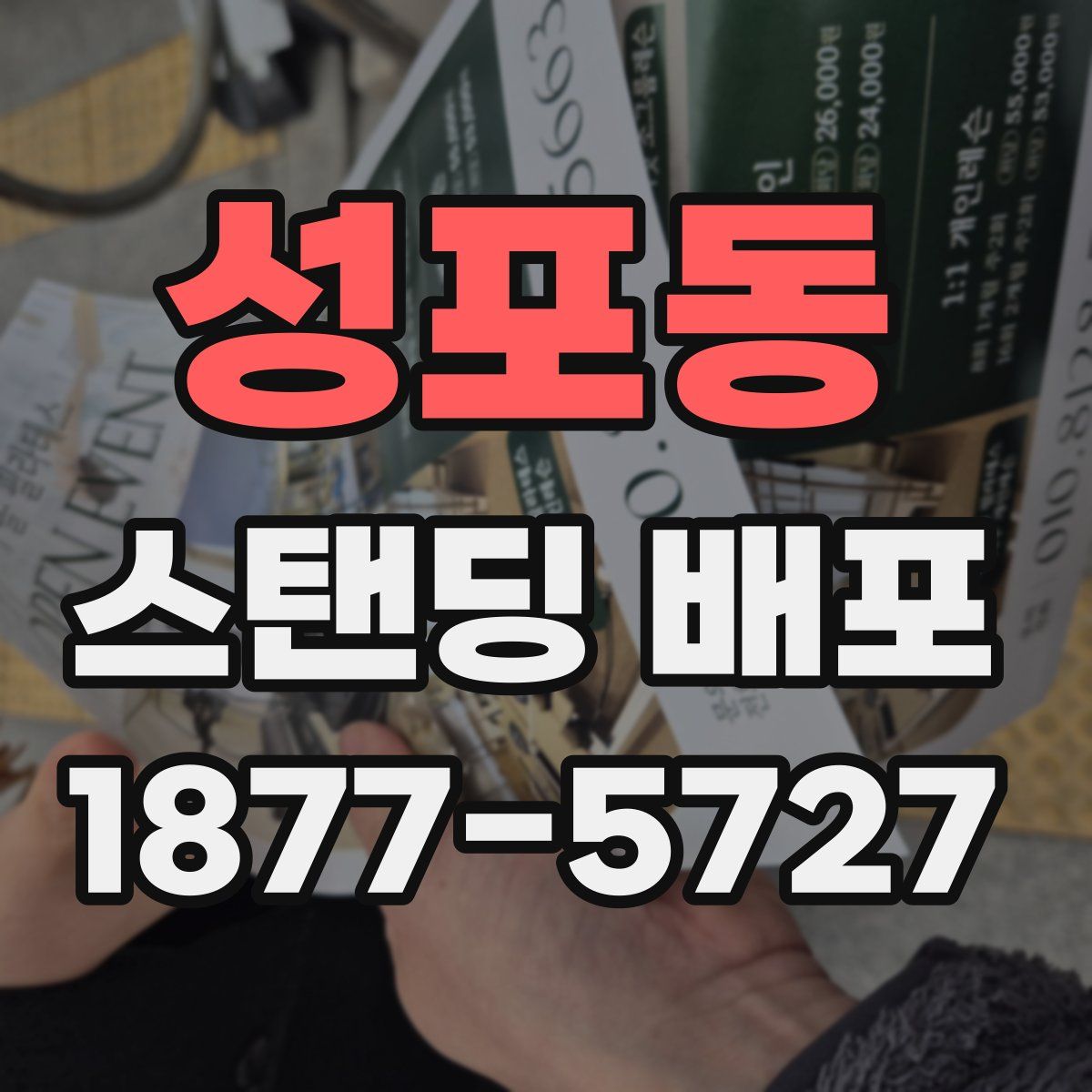 성포동 스탠딩 배포