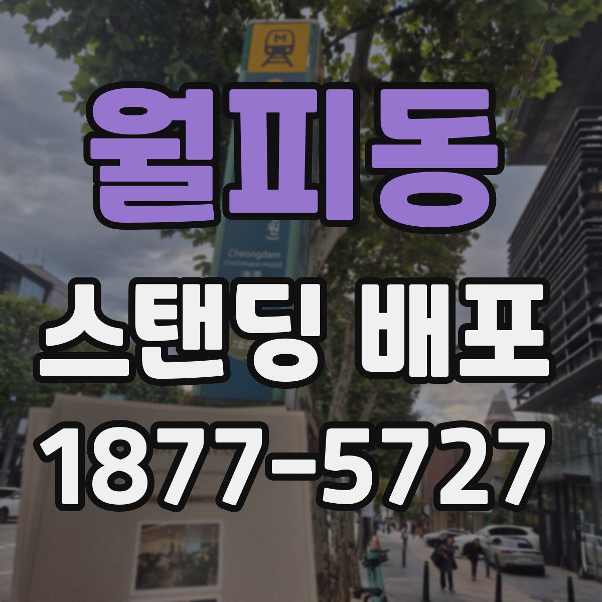 월피동 스탠딩 배포