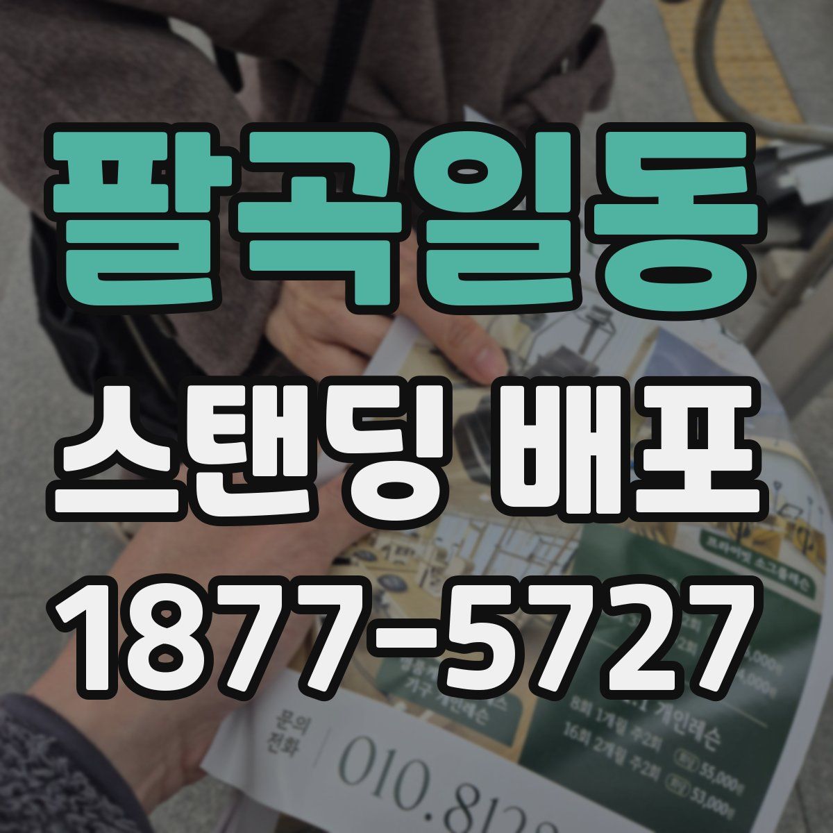 팔곡일동 스탠딩 배포