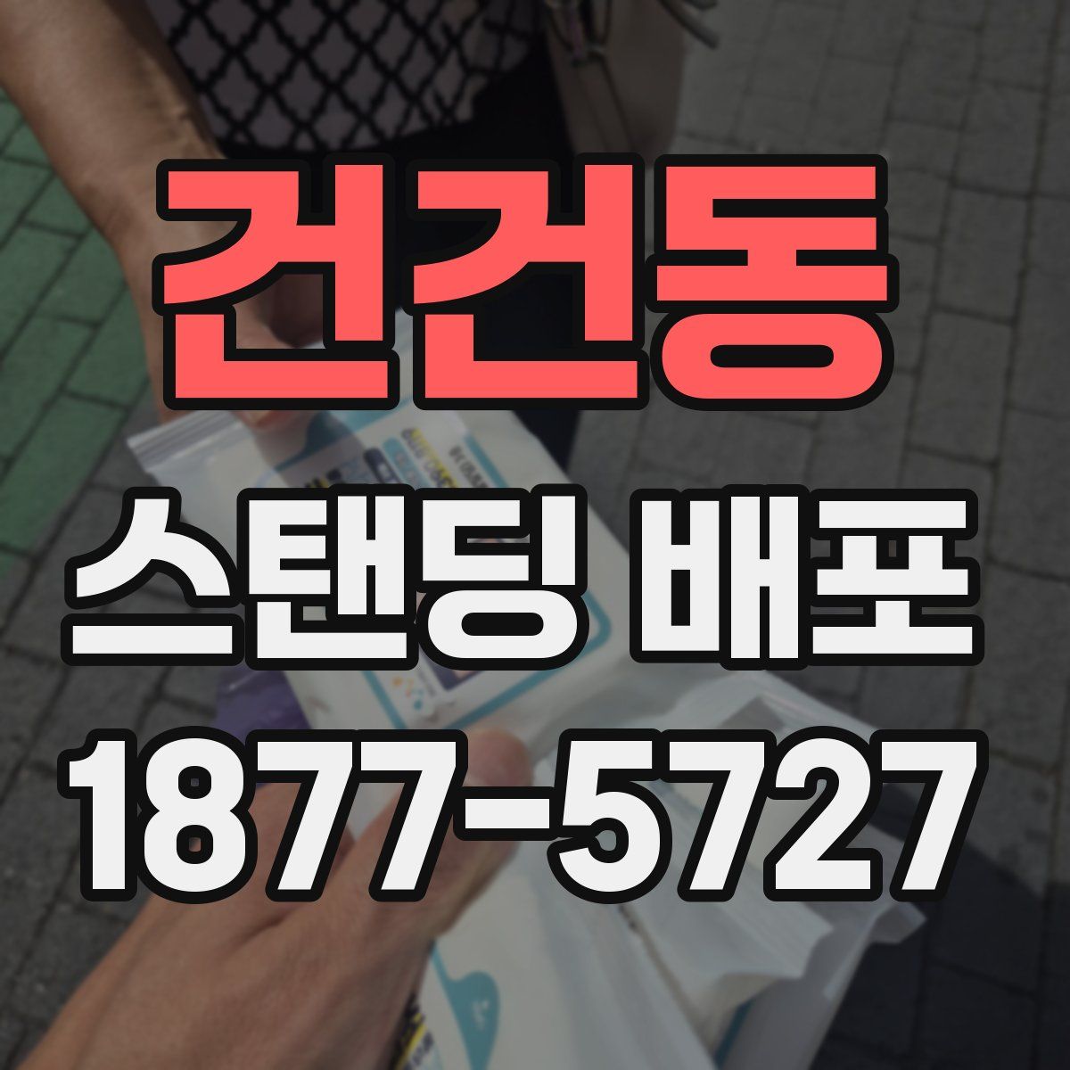 건건동 스탠딩 배포