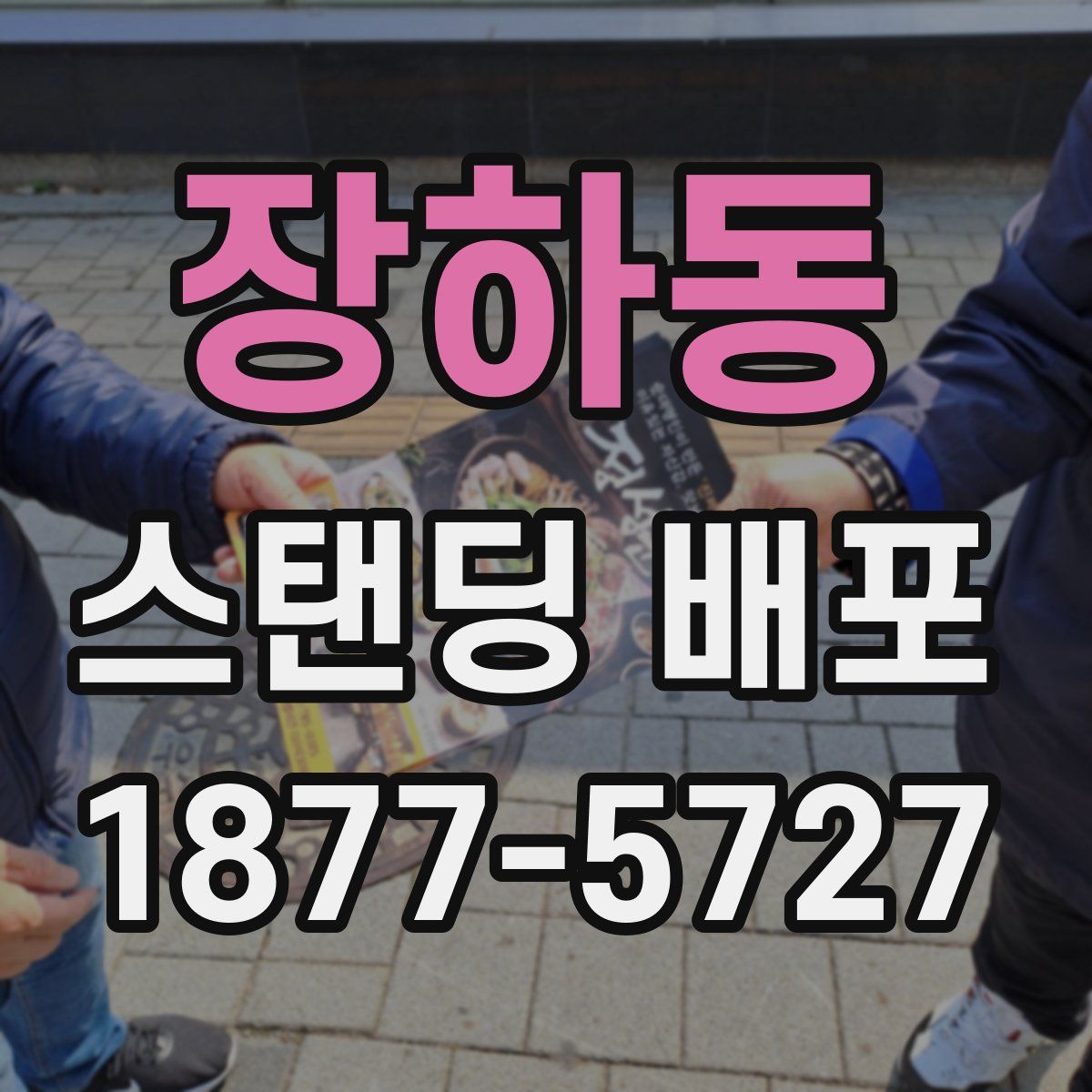 장하동 스탠딩 배포