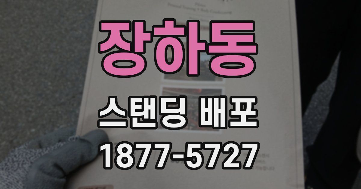 장하동 스탠딩 배포