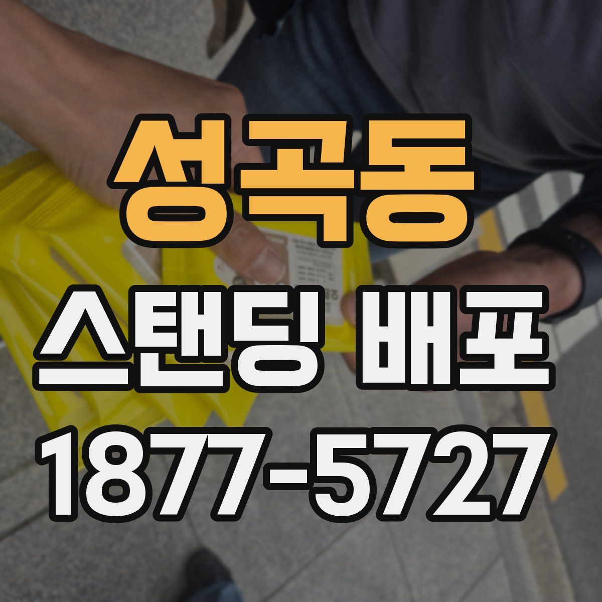 성곡동 스탠딩 배포