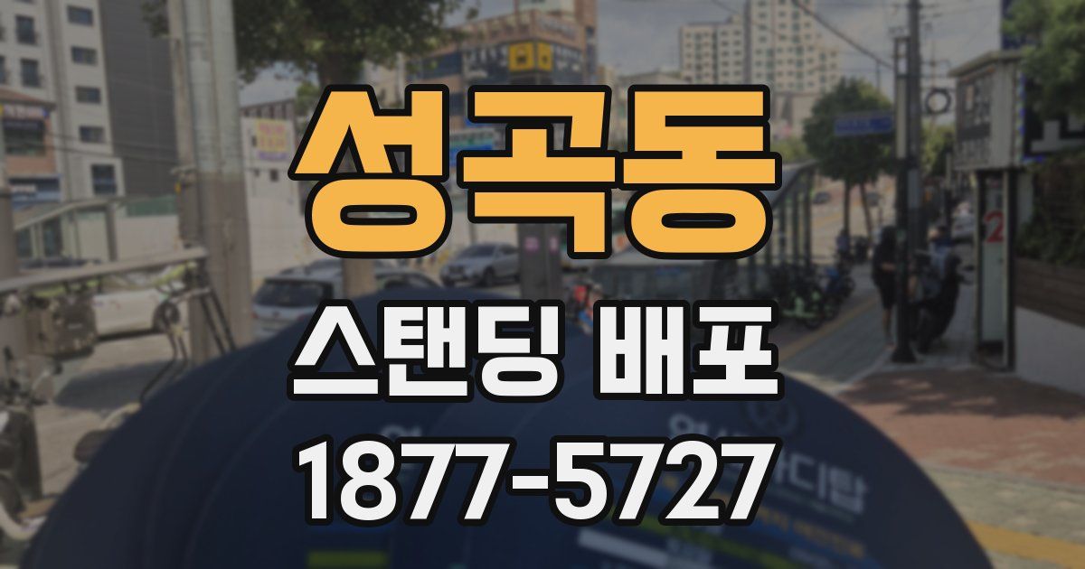 성곡동 스탠딩 배포
