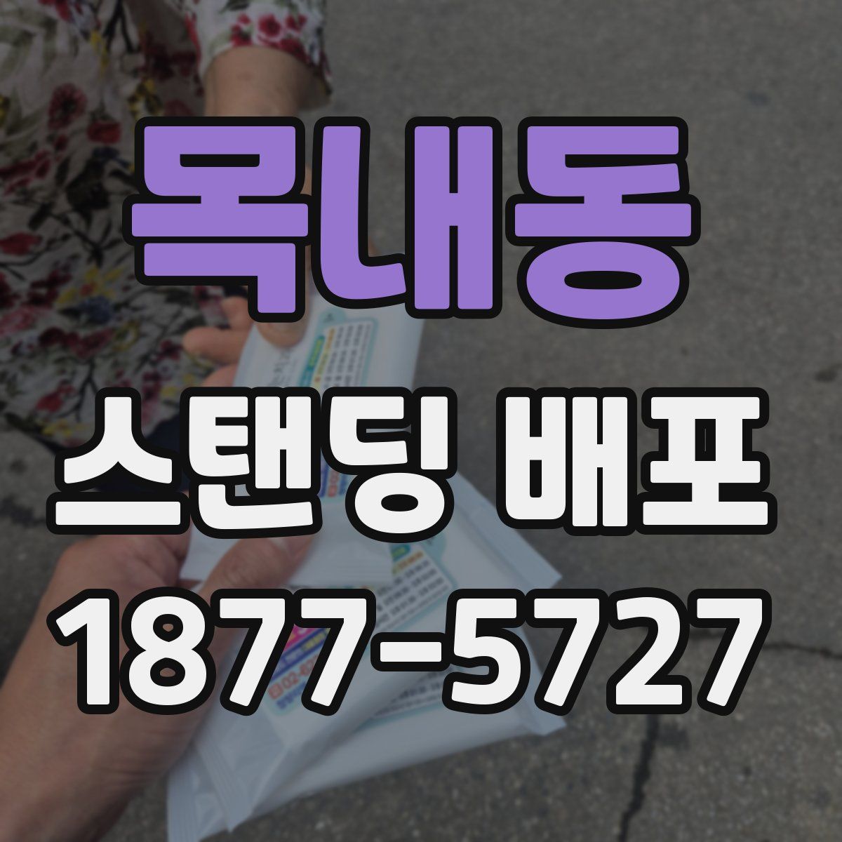 목내동 스탠딩 배포