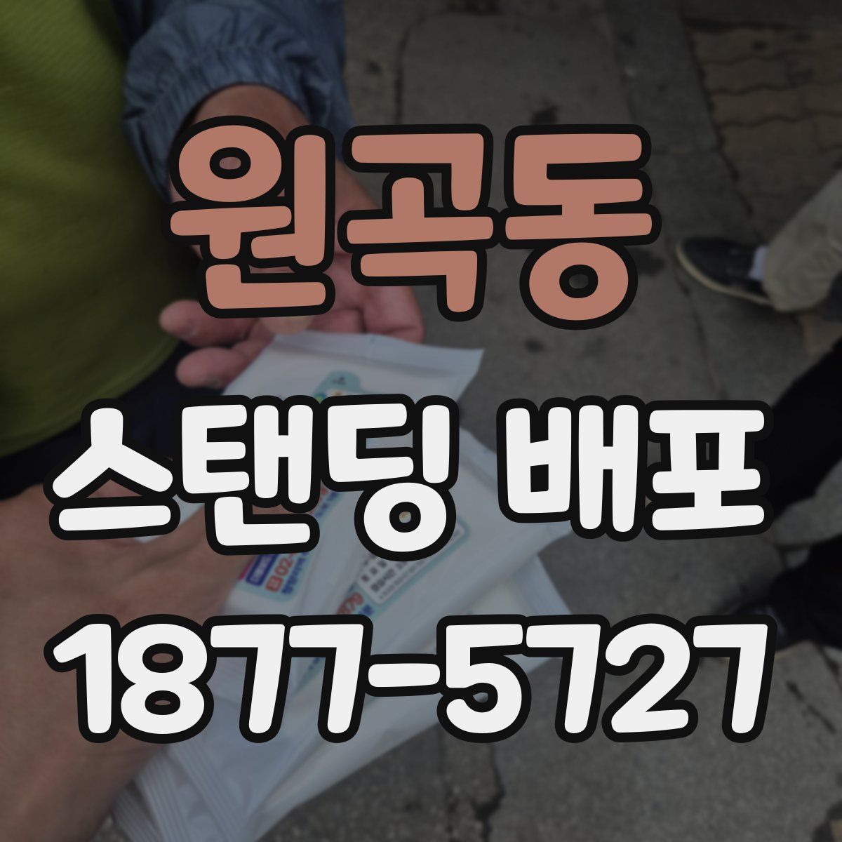 원곡동 스탠딩 배포