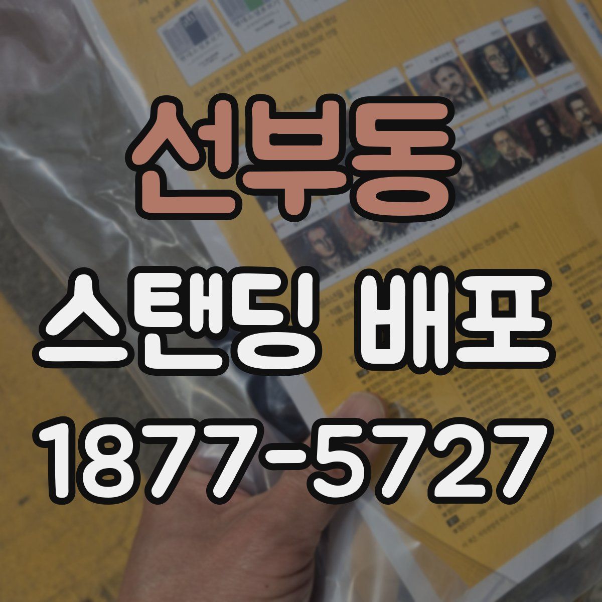 선부동 스탠딩 배포