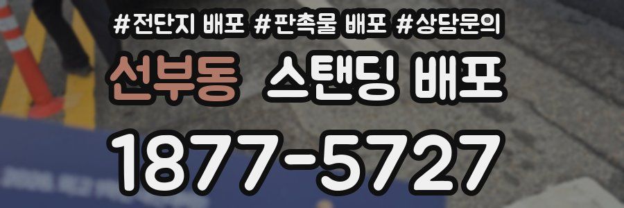 선부동 스탠딩 배포