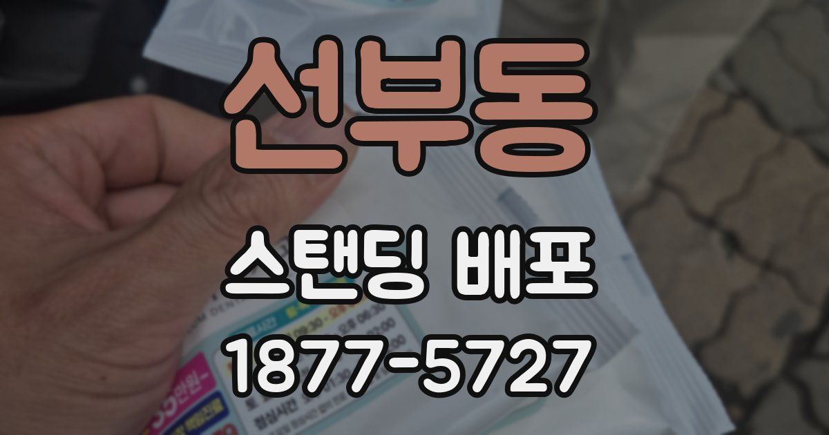 선부동 스탠딩 배포