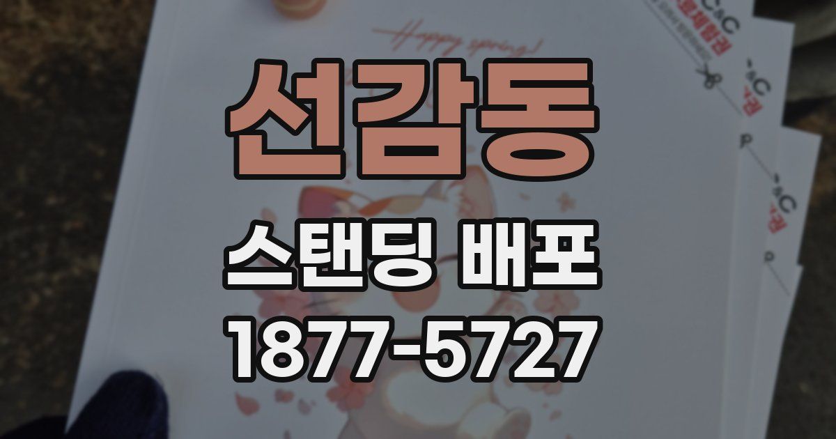 선감동 스탠딩 배포