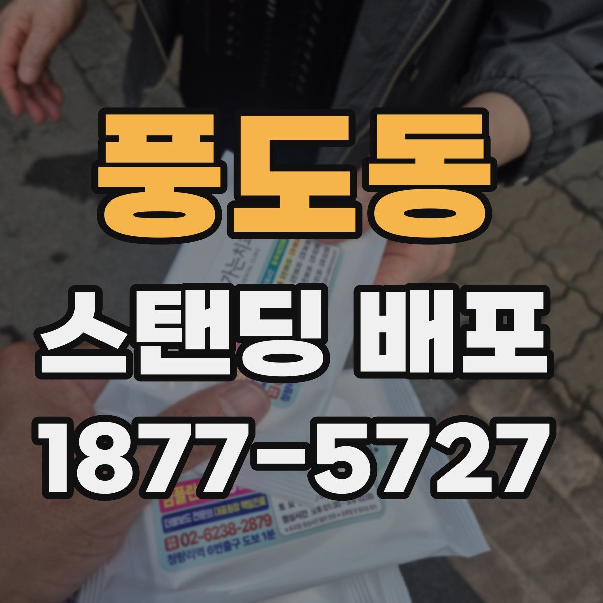 풍도동 스탠딩 배포