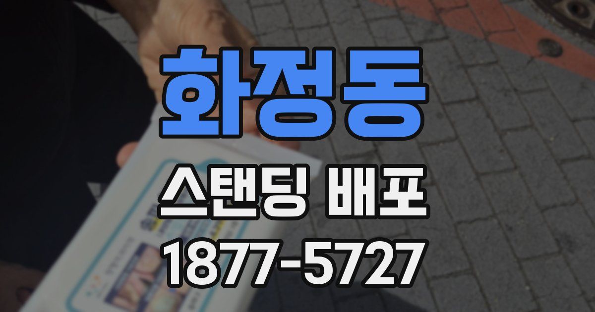 화정동 스탠딩 배포