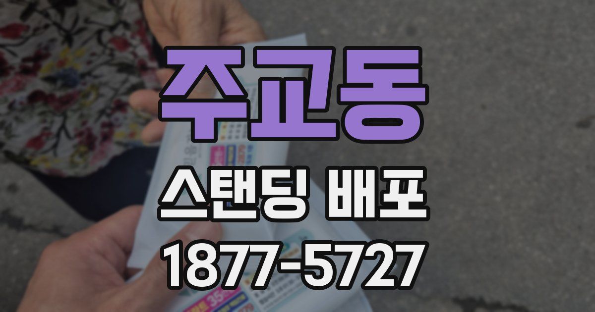 주교동 스탠딩 배포