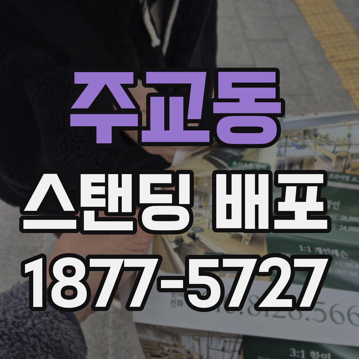 주교동 스탠딩 배포