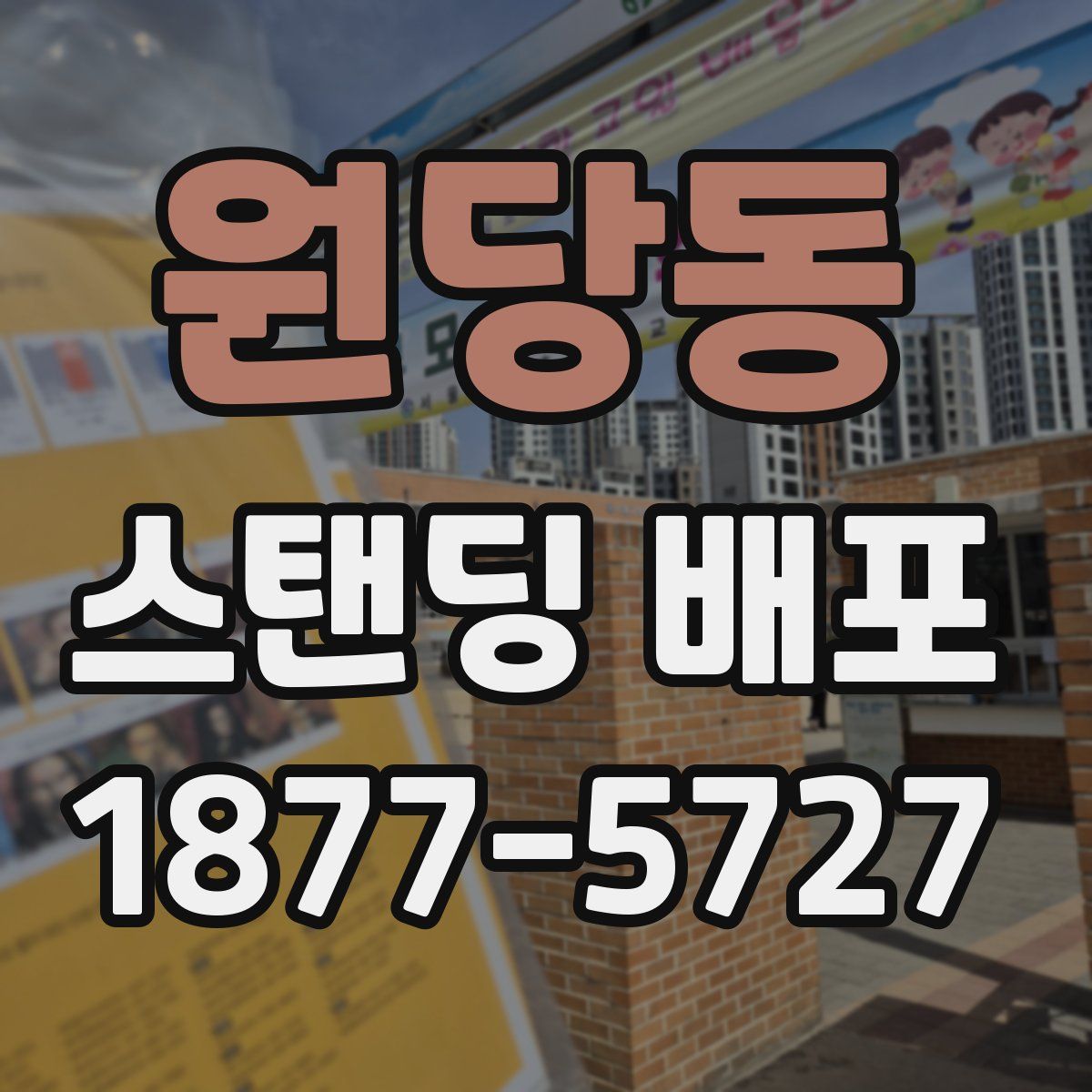 원당동 스탠딩 배포