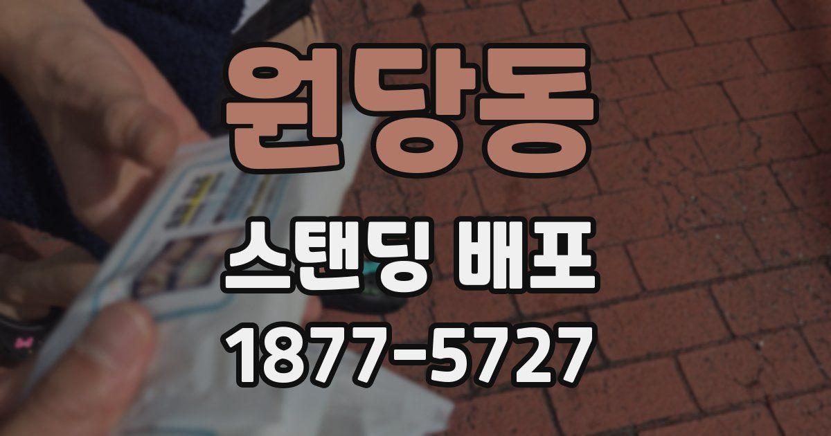 원당동 스탠딩 배포