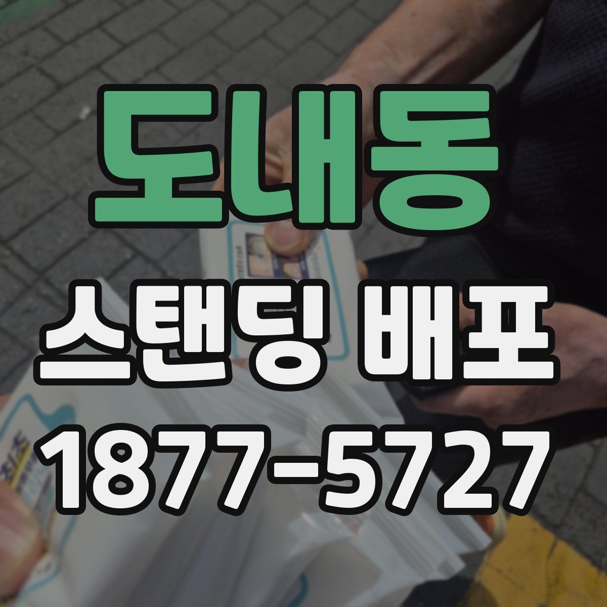 도내동 스탠딩 배포
