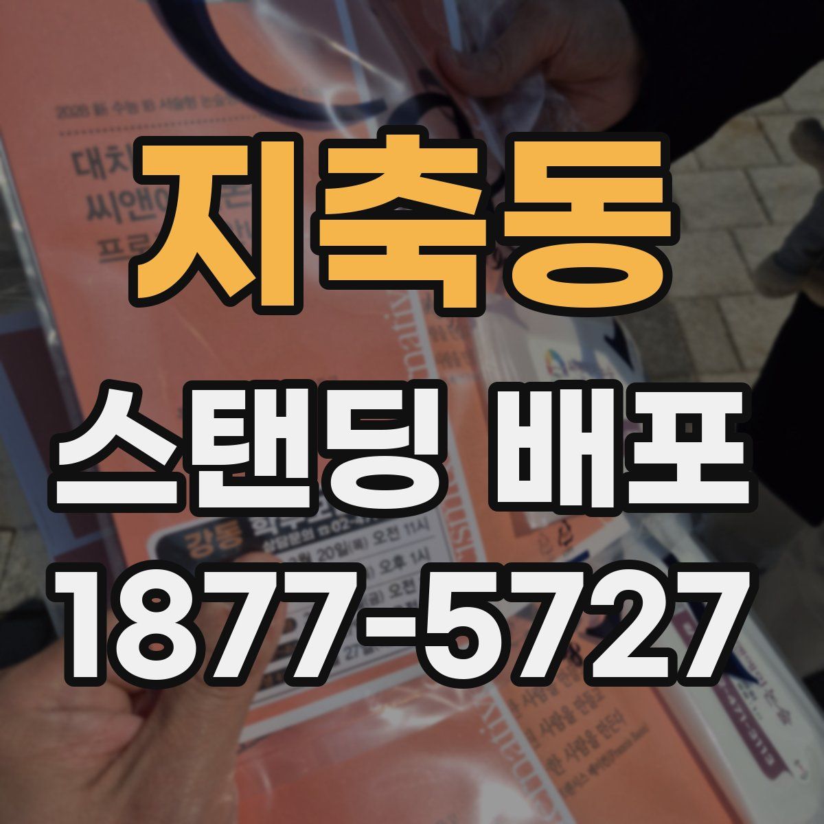 지축동 스탠딩 배포
