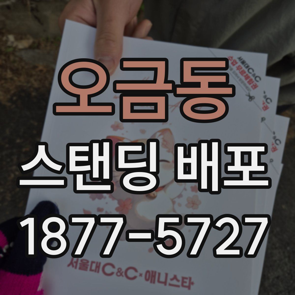 오금동 스탠딩 배포