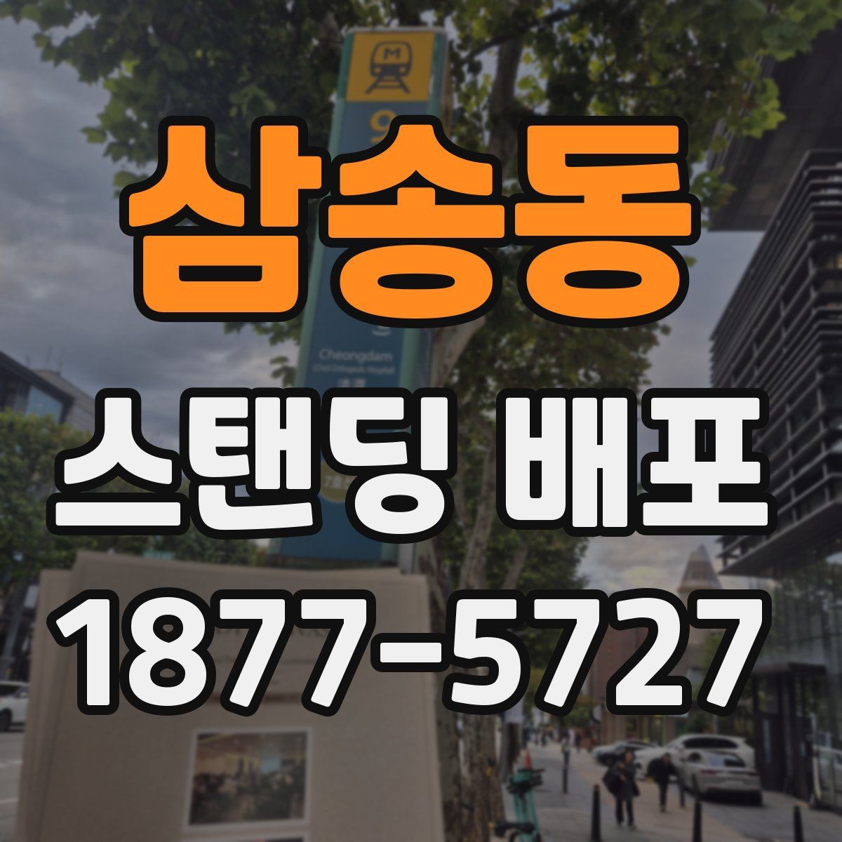 삼송동 스탠딩 배포