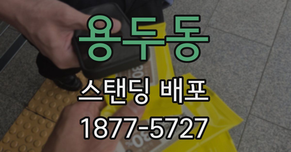 용두동 스탠딩 배포
