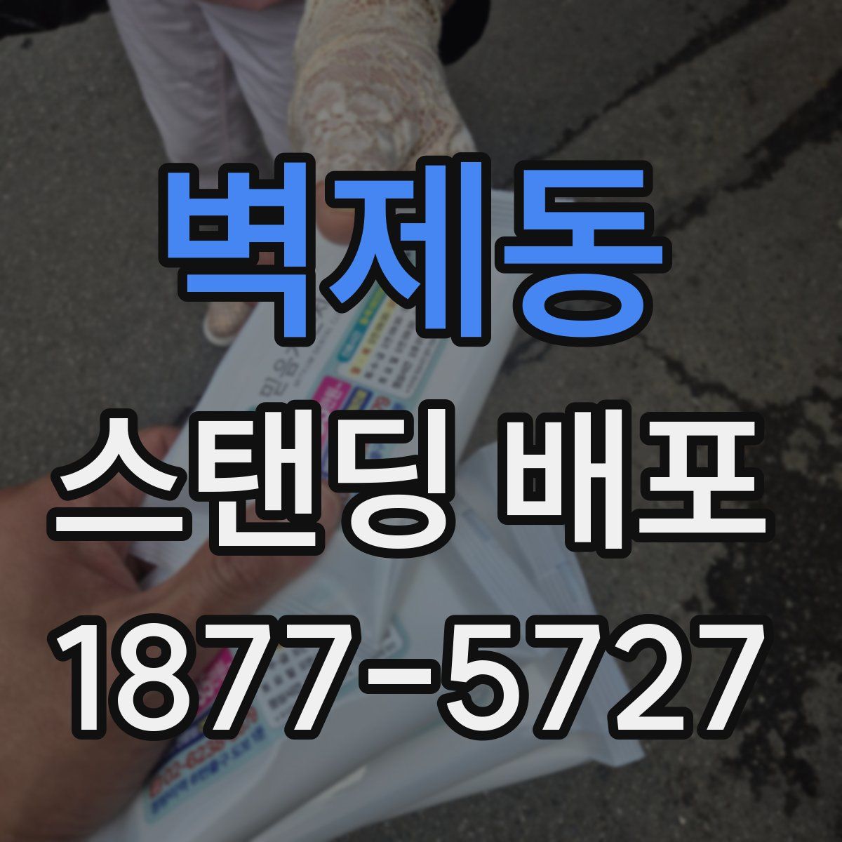 벽제동 스탠딩 배포