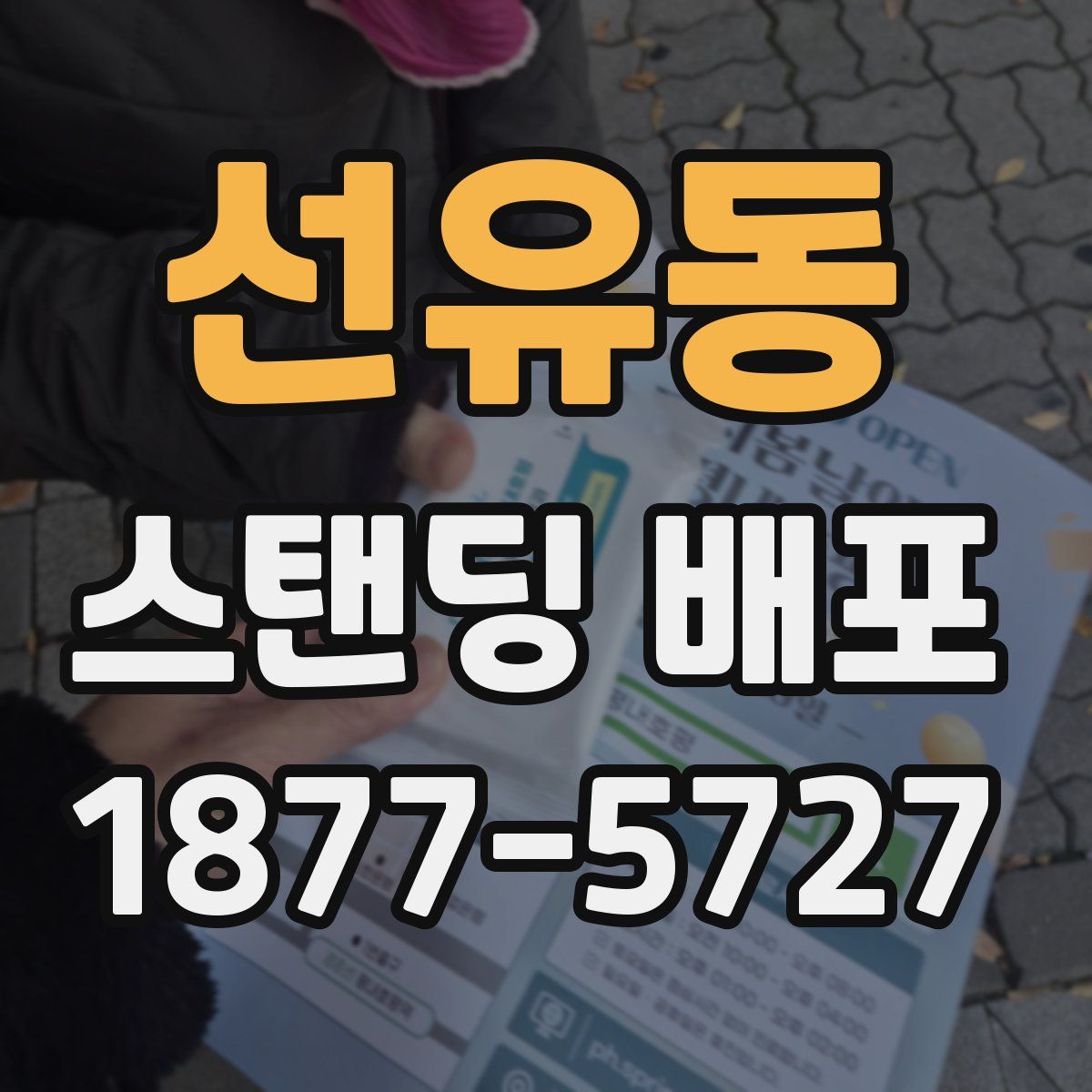 선유동 스탠딩 배포