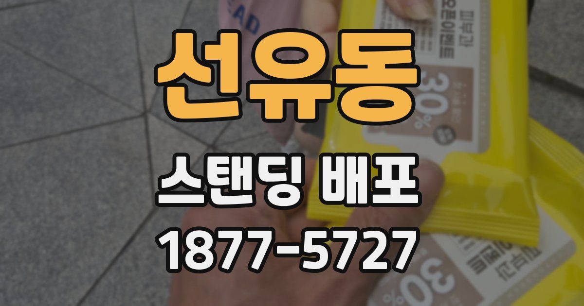 선유동 스탠딩 배포