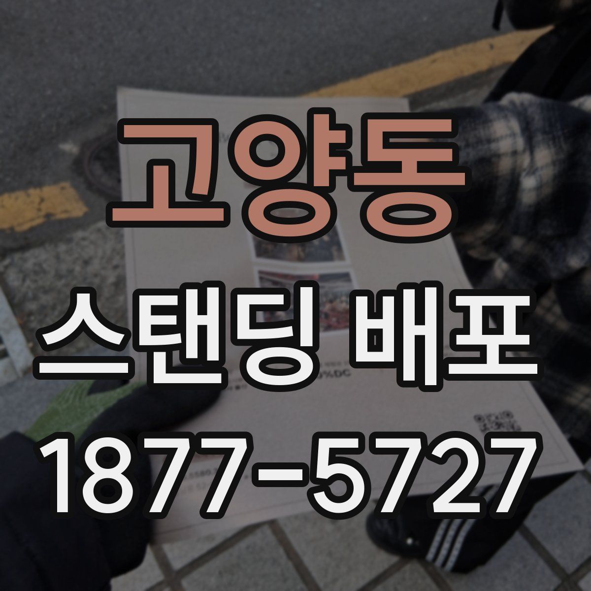 고양동 스탠딩 배포