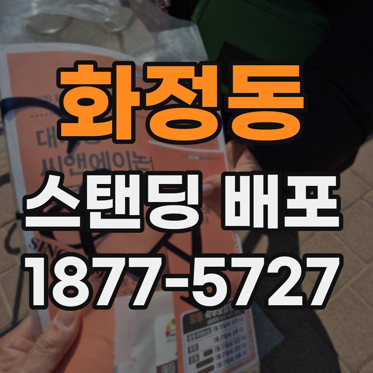 화정동 스탠딩 배포
