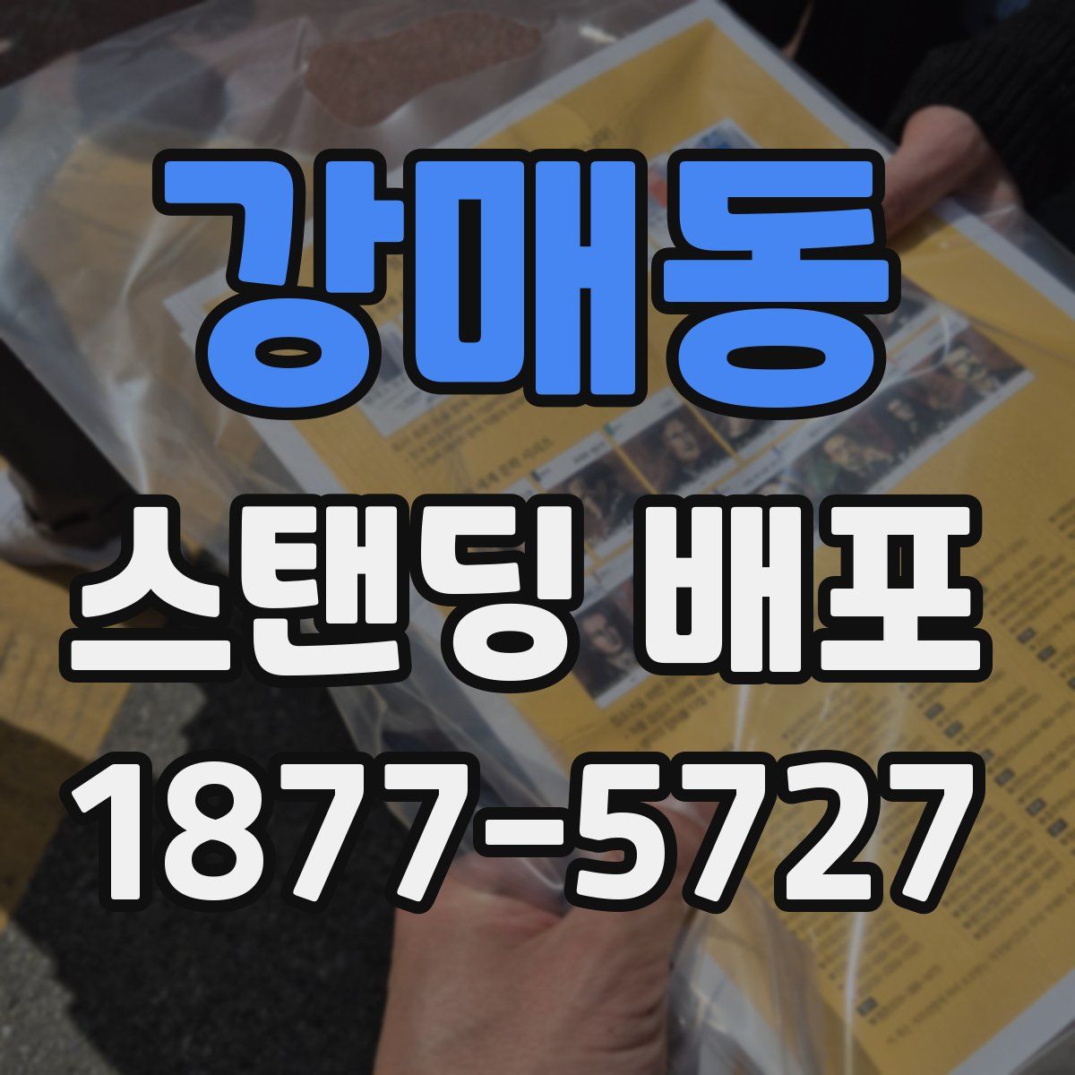 강매동 스탠딩 배포