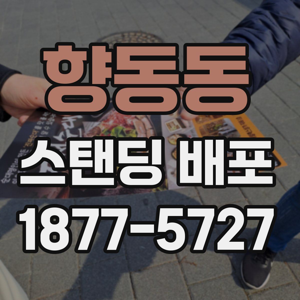 향동동 스탠딩 배포