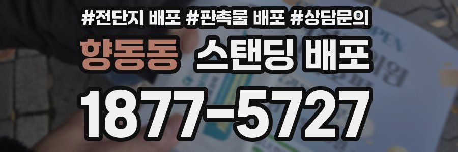 향동동 스탠딩 배포