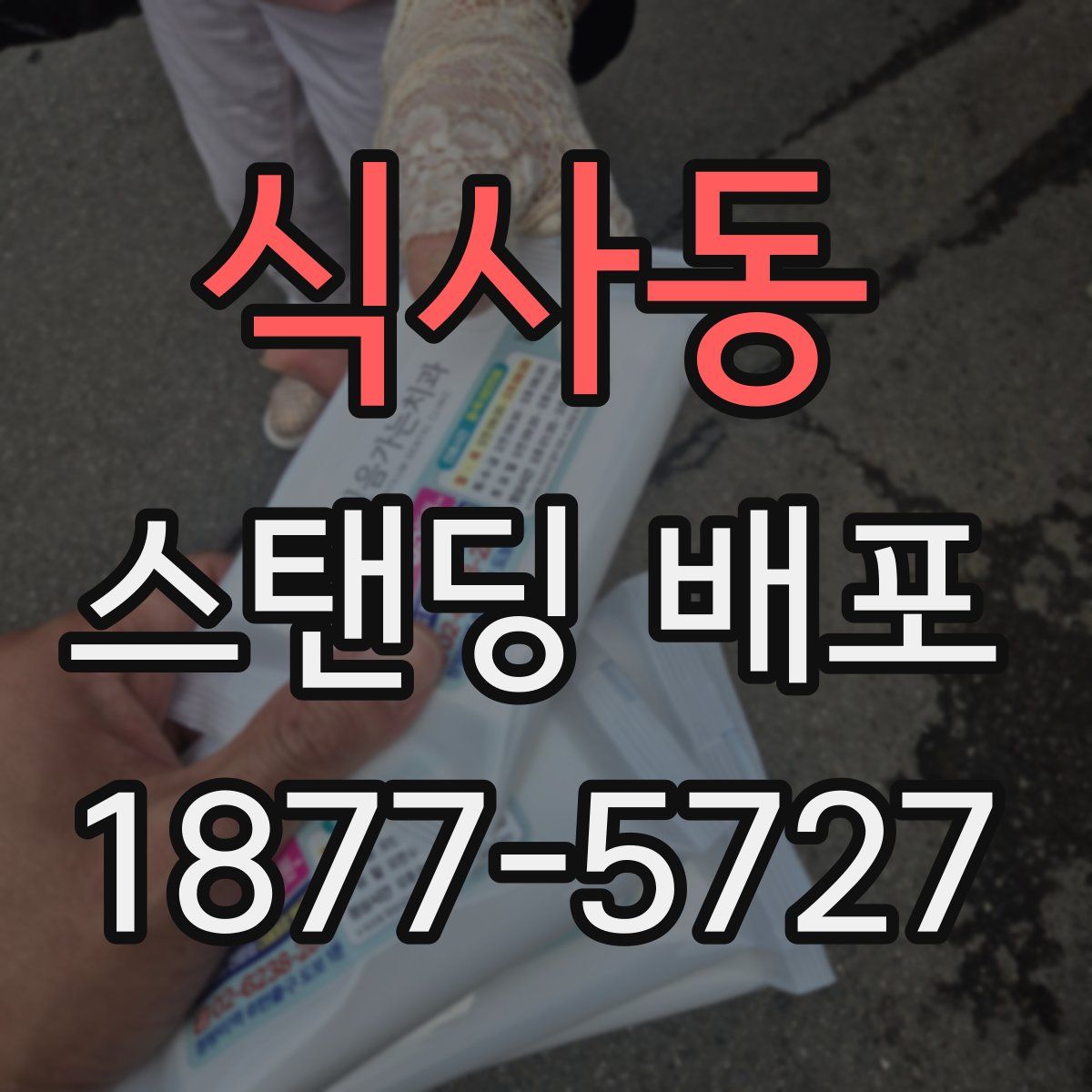 식사동 스탠딩 배포