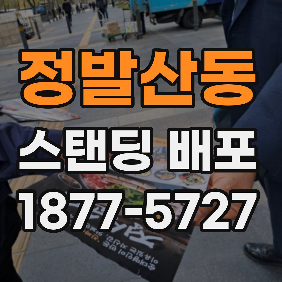 정발산동 스탠딩 배포