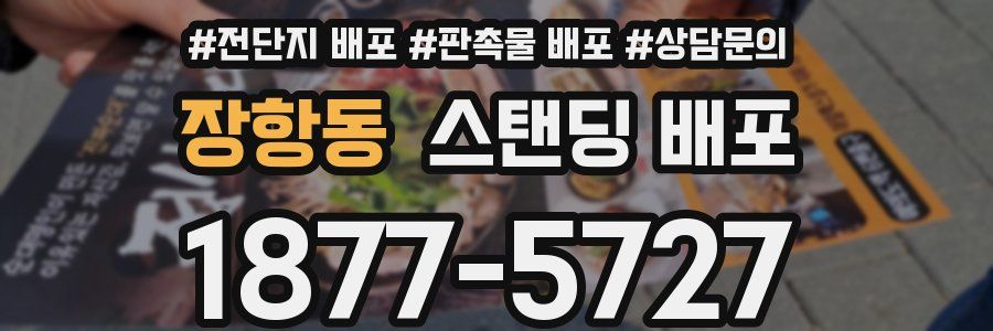 장항동 스탠딩 배포