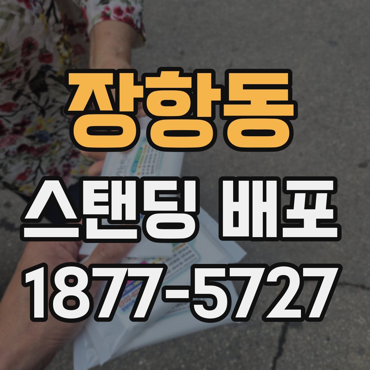 장항동 스탠딩 배포