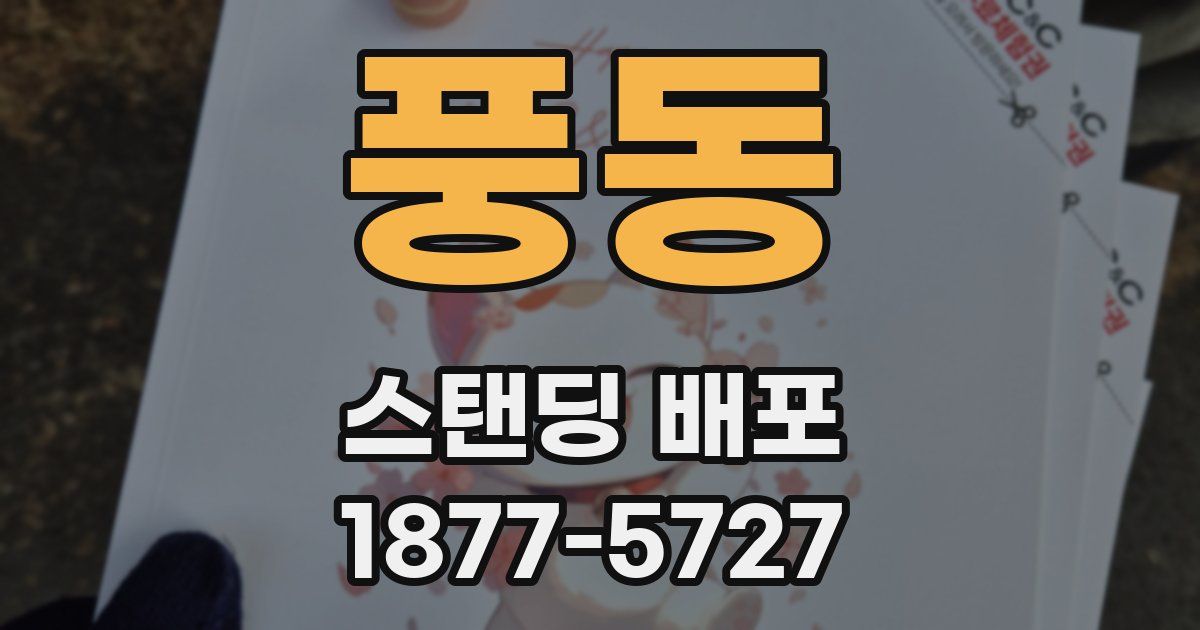 풍동 스탠딩 배포