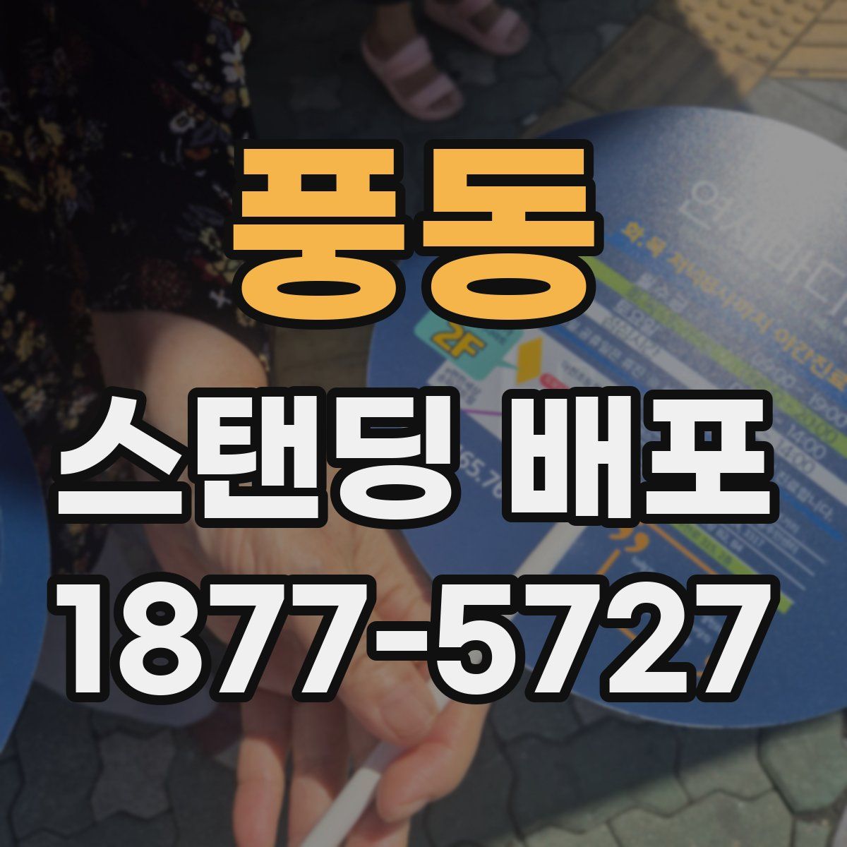풍동 스탠딩 배포