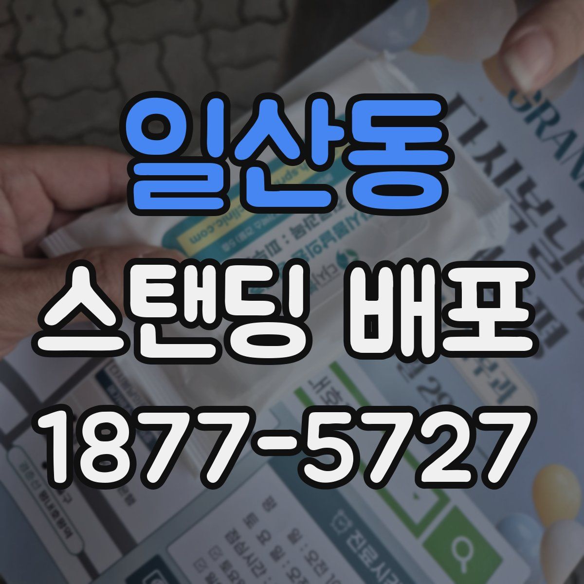일산동 스탠딩 배포