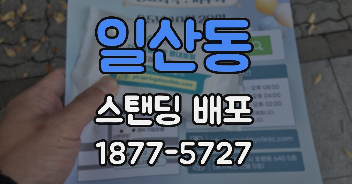 일산동 스탠딩 배포
