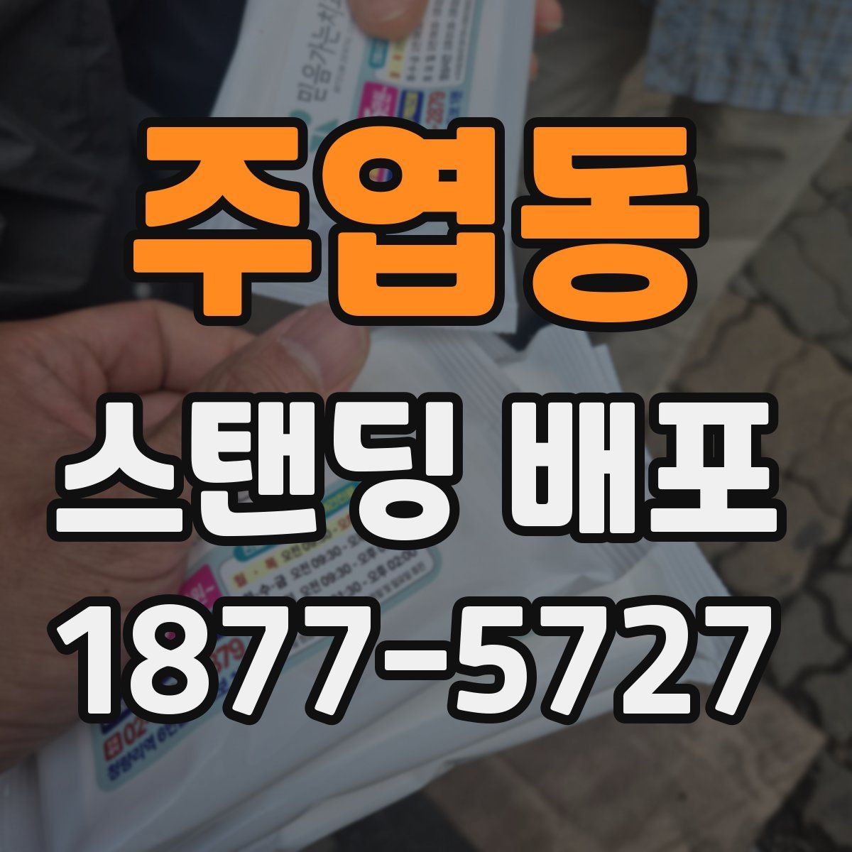 주엽동 스탠딩 배포