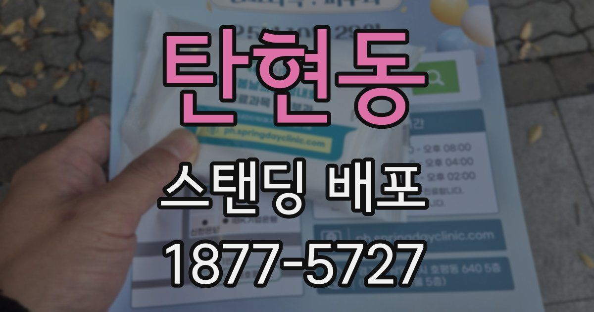 탄현동 스탠딩 배포
