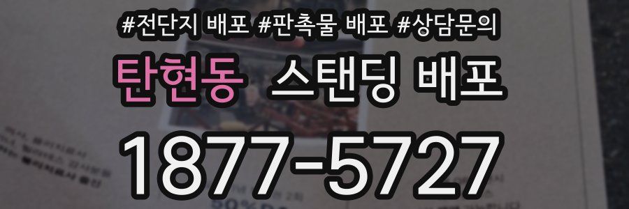 탄현동 스탠딩 배포