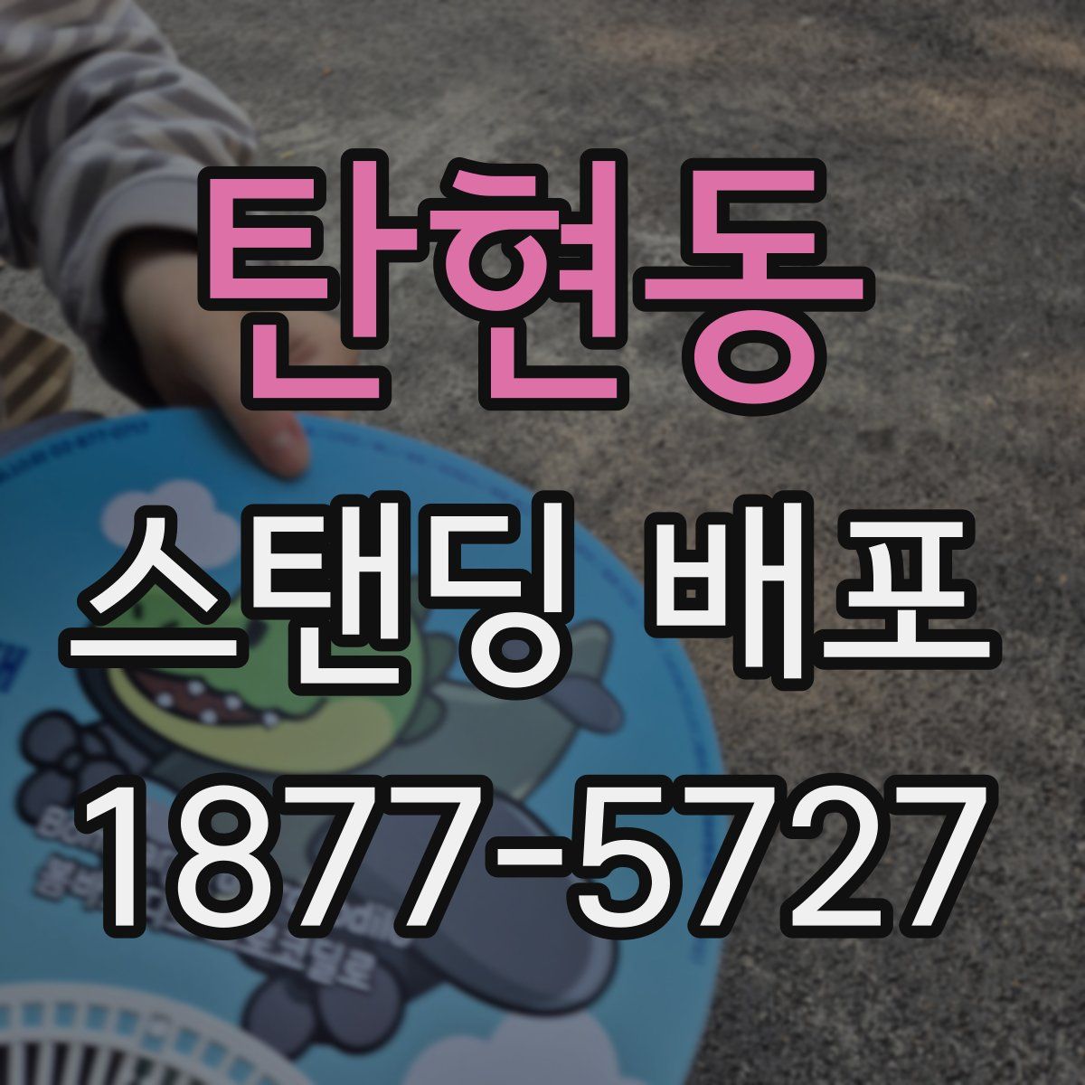 탄현동 스탠딩 배포