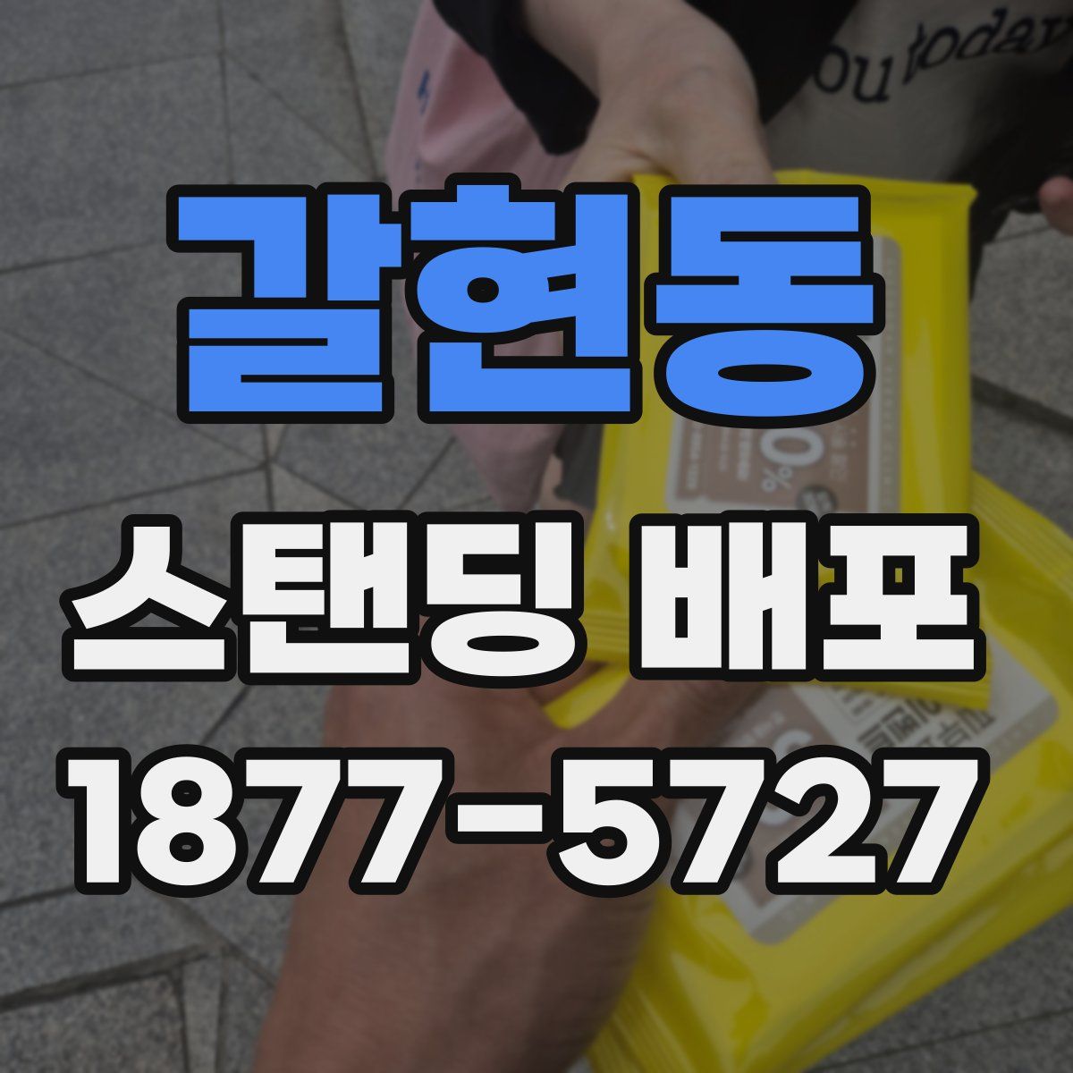 갈현동 스탠딩 배포